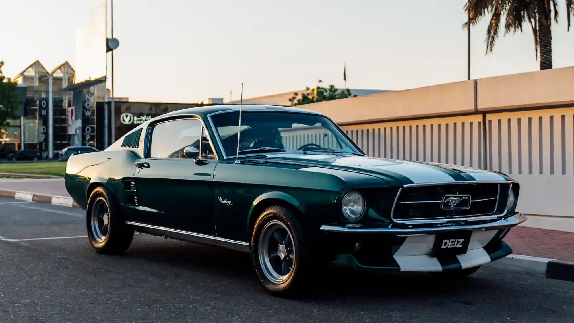 Ford Mustang PPF Wrapping Project | DEIZ GARAGE Ford Mustang PPF Wrapping Project | DEIZ GARAGE