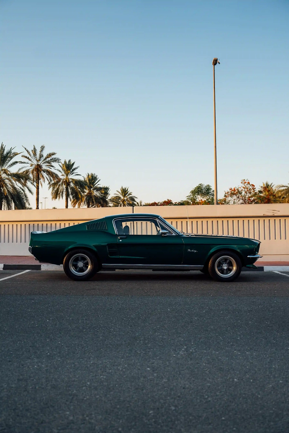 Ford Mustang PPF Wrapping Project | DEIZ GARAGE