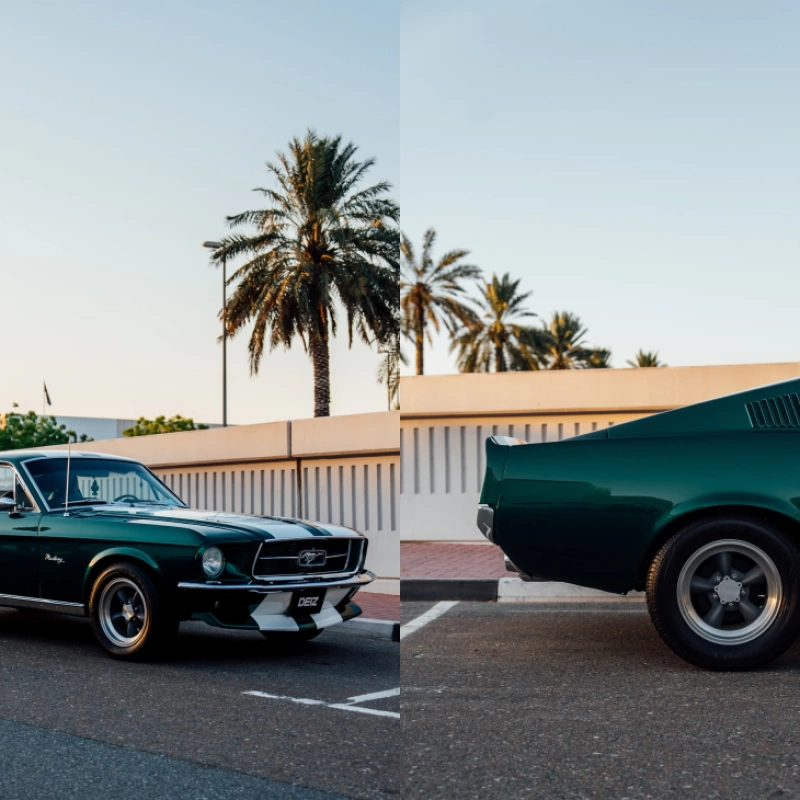 PPF Premium (Paint Protection Film)