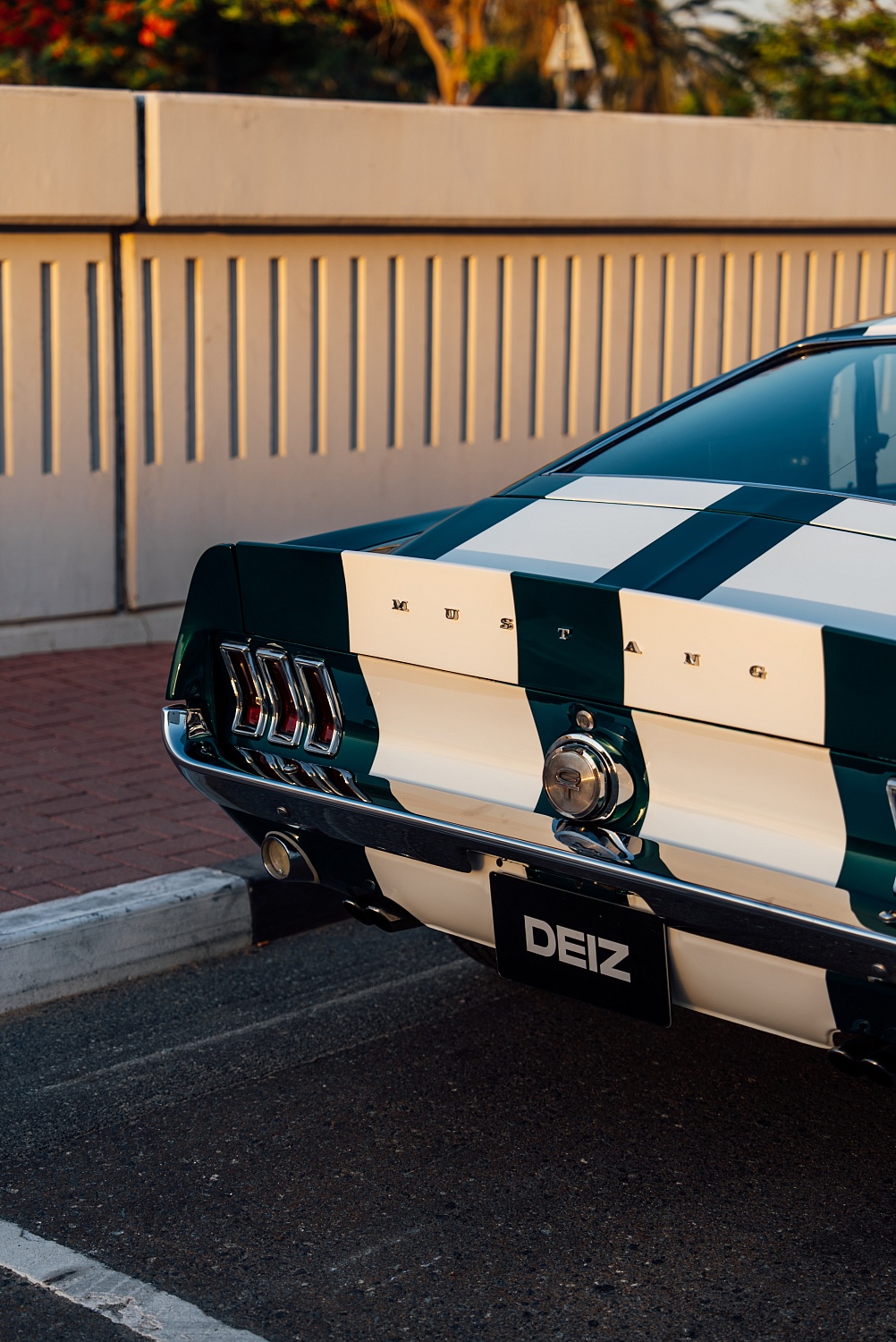 Ford Mustang — Paint Protection Film (PPF)