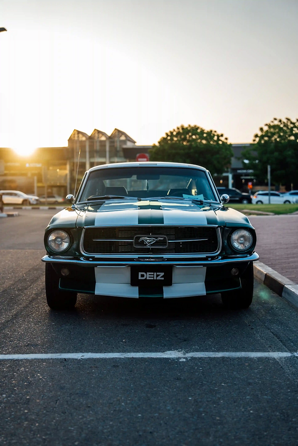 Ford Mustang PPF Wrapping Project | DEIZ GARAGE