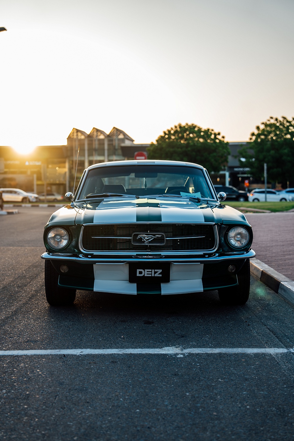 Ford Mustang — Paint Protection Film (PPF)