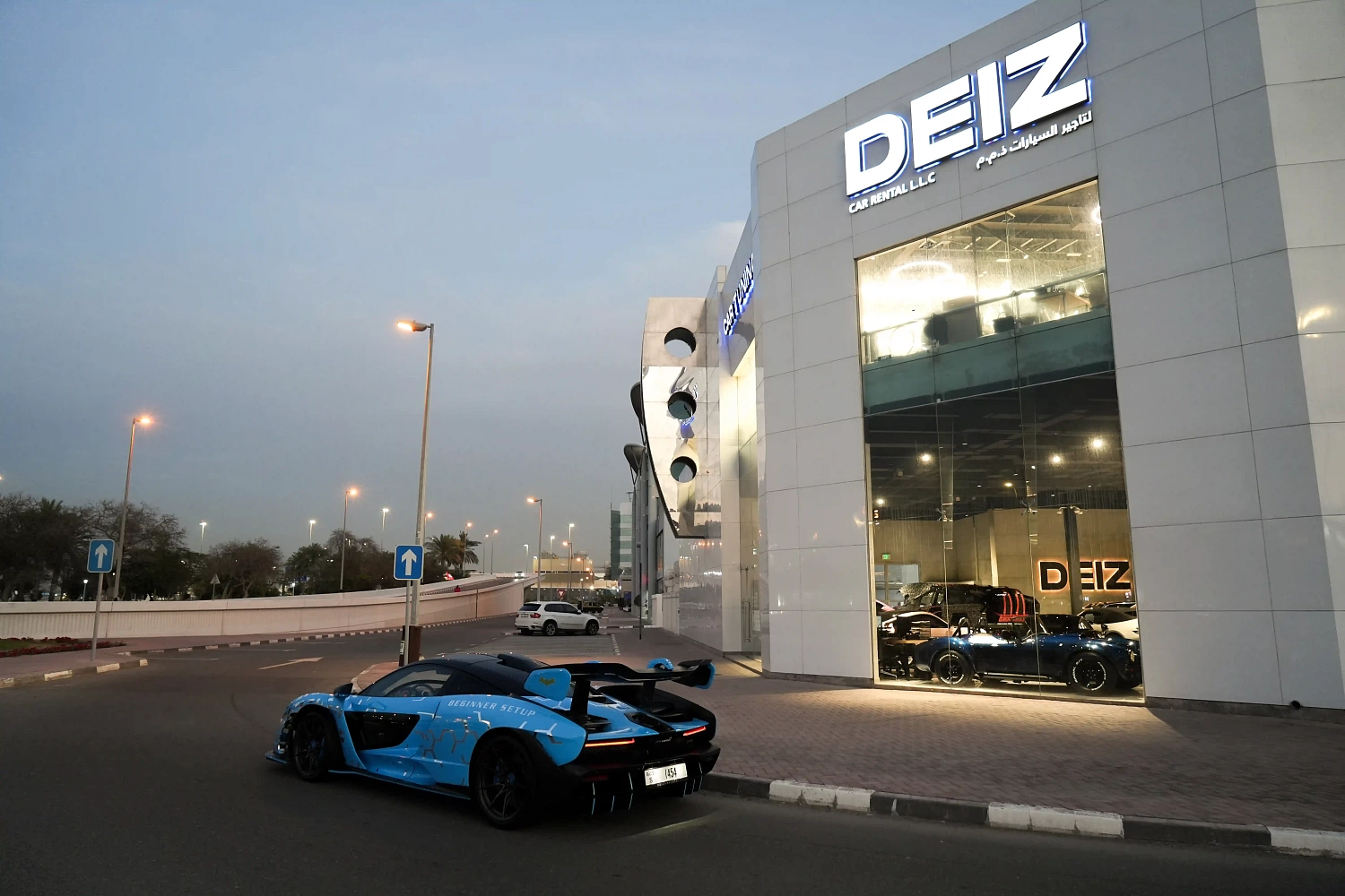 McLaren Senna Tuning Project: Multi-Map & Performance | DEIZ GARAGE
